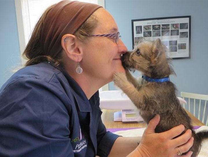 Preventive Care for Dogs